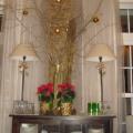DSC02422.jpg